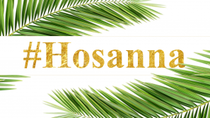 Akcja #Hosanna – Wyślij nam zdjęcie z palmą. Przekażemy je medykom