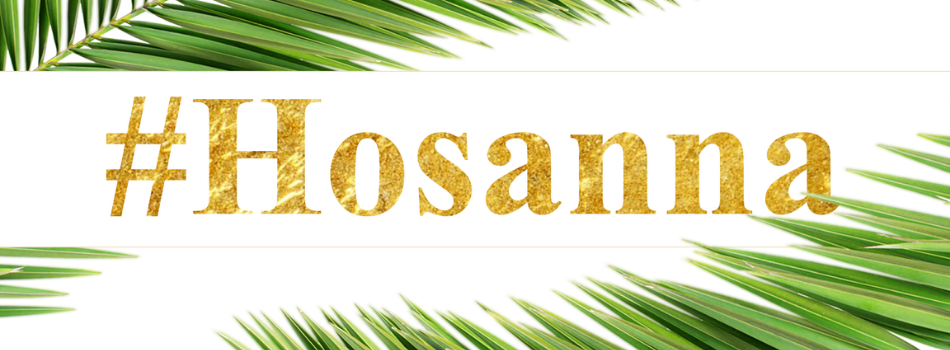 Akcja #Hosanna – Wyślij nam zdjęcie z palmą. Przekażemy je medykom