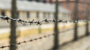 Webinar „Wiara w Auschwitz – doświadczenia ofiar i dialog międzyreligijny”